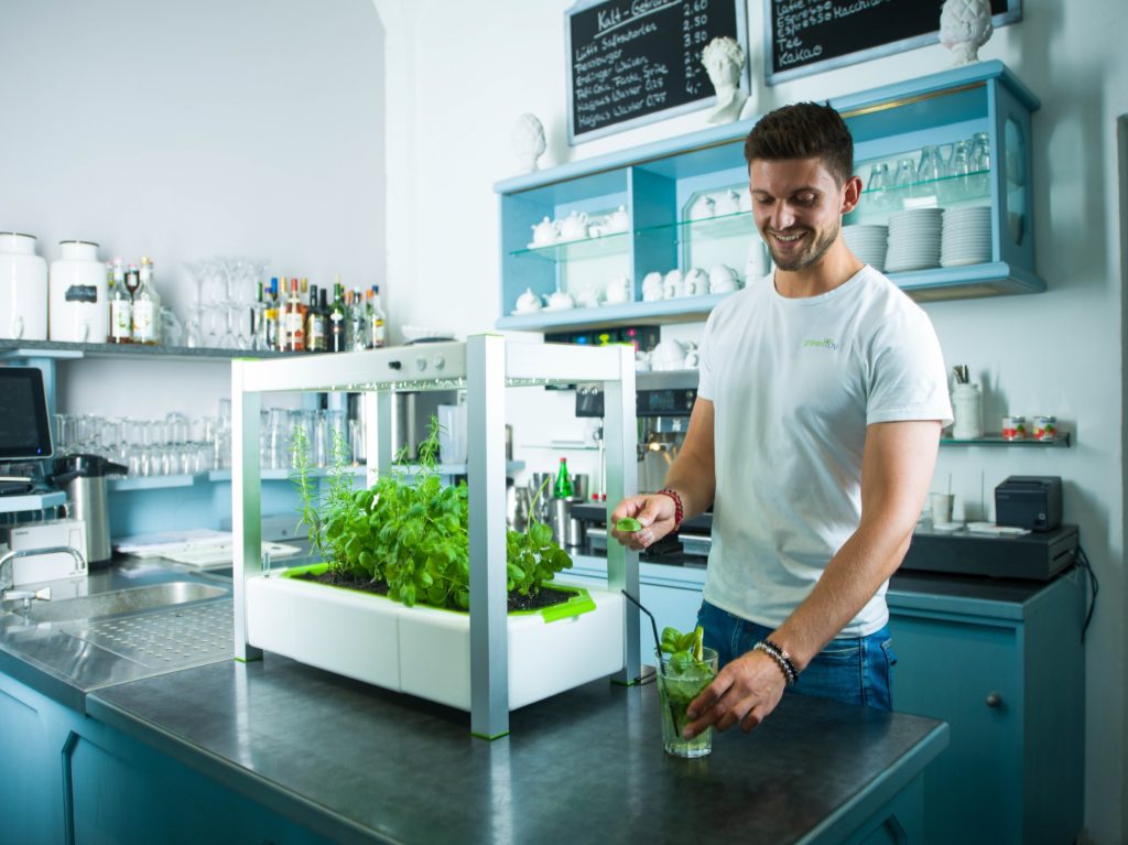greenYou macht kleine Gärten für die Wohnung