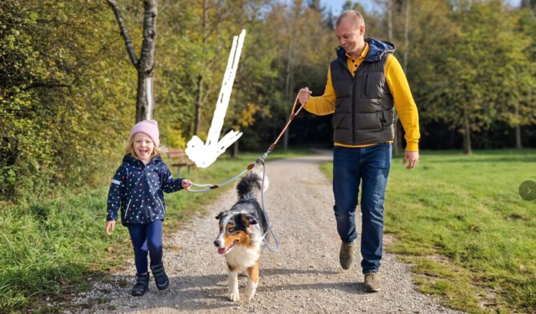Heidelberger Gründer macht Hundeleinen kindersicher